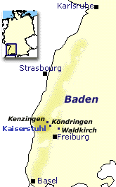  > Badenser Wein im weinladen-online.de 