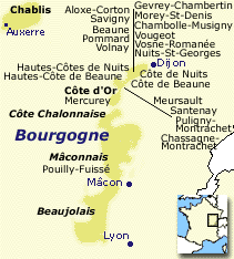  > Weissweine aus der Bourgogne online bestellen 