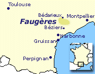  > Faugres-Weine online bestellen 